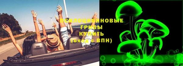 сатива Верхнеуральск