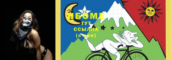 амф Верея