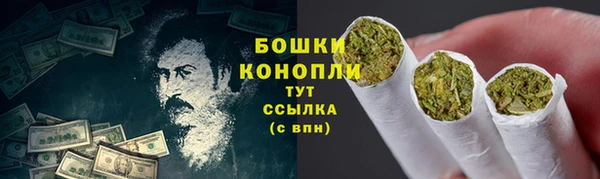 амф Верея