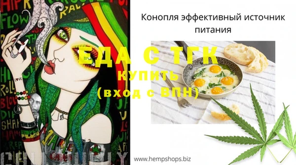 амф Верея