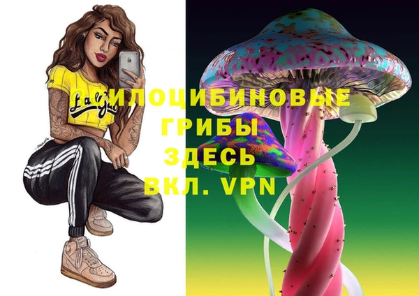 амф Верея