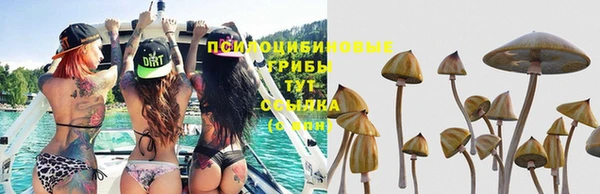 сатива Верхнеуральск